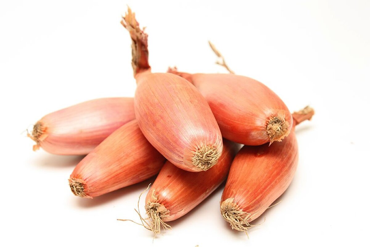 Cibuľa šalotka banánová