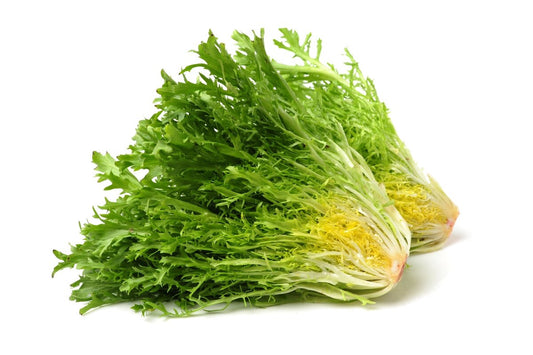 Frisse zelený kučeravý šalát
