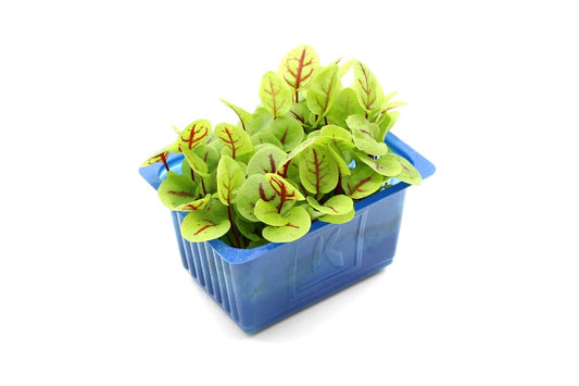 Žerucha Vene Cress (vanička)