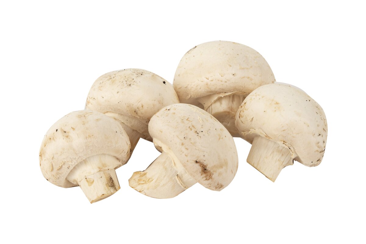 Hríby Šampiňóny biele 500 g