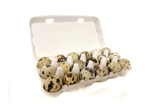 Vajcia prepeličie (18ks/bal.)